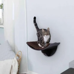 Lorena Espresso Wall Mount Perch