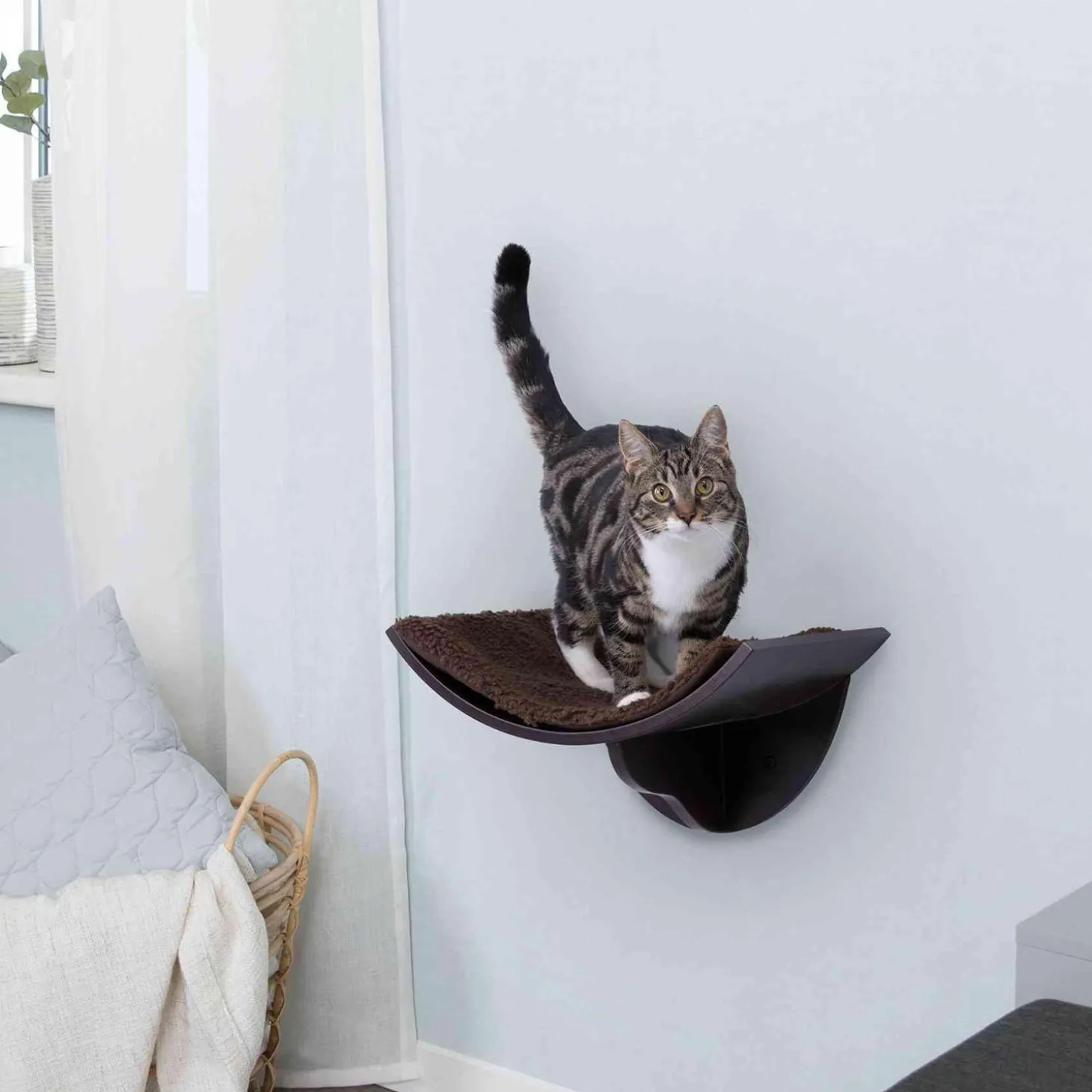 Lorena Espresso Wall Mount Perch