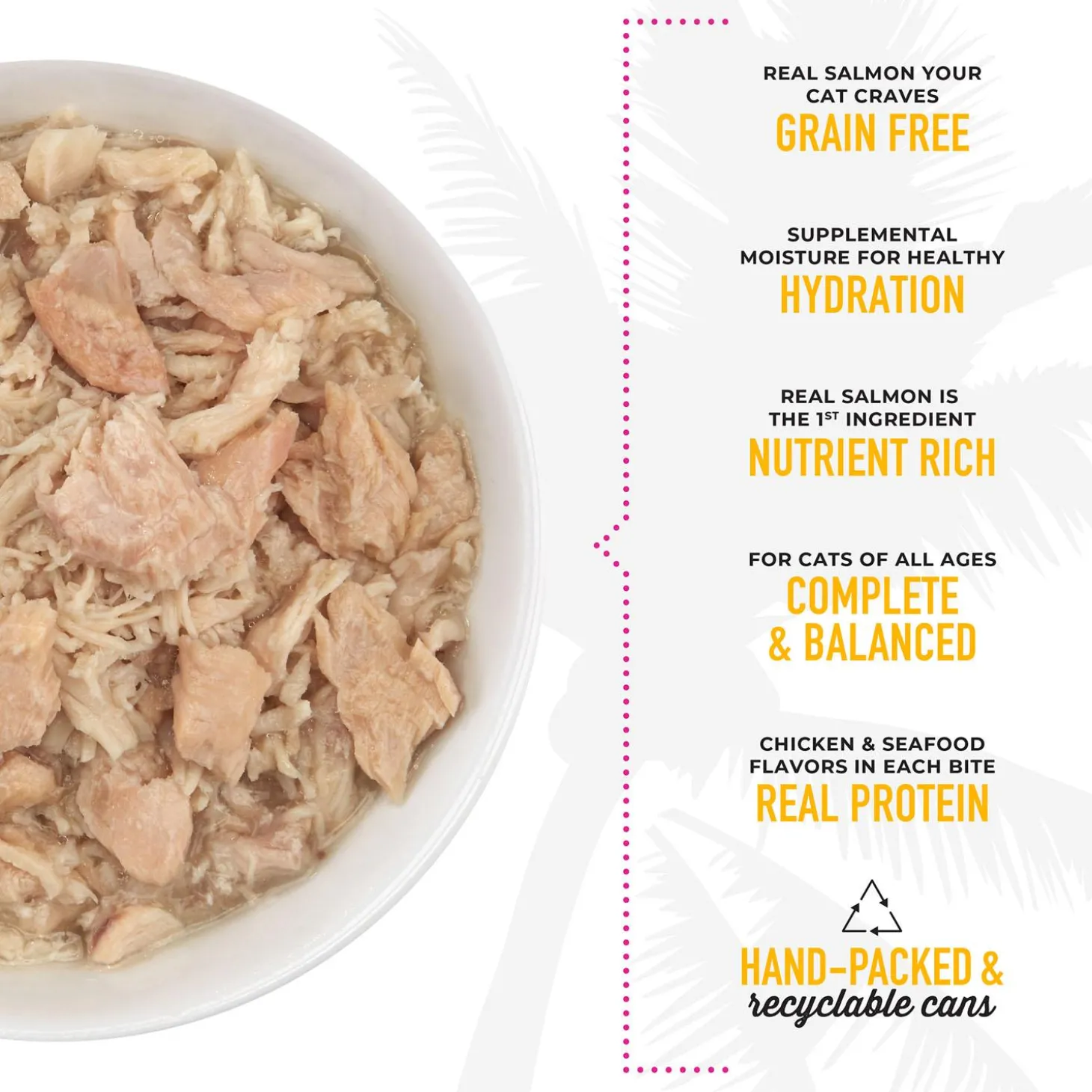 Luau Wild Salmon & Chicken Recipe in Chicken Consomme Cat Food