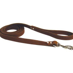 Luxe 3/4in Brown Dog Leash