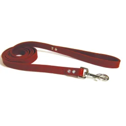 Luxe 1/2in Red Dog Leash