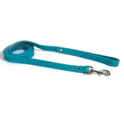 Luxe Leashes 1/2in Turquoise
