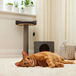 Maggie Hammock Condo Cat Tree