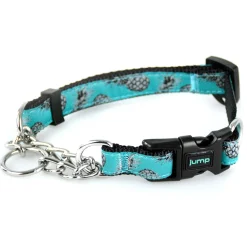Martingale Teal Pineapple Dog Collar