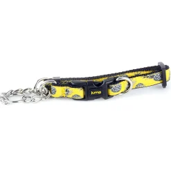 Martingale Yellow Pineapple Dog Collar