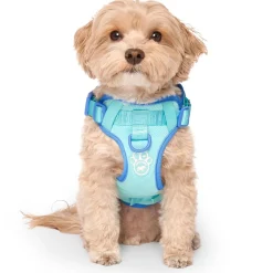 Max Chill Blue Cooling Harness