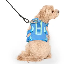 Max Chill Blue Cooling Harness