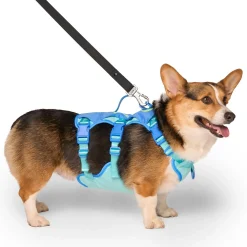Max Chill Blue Cooling Harness