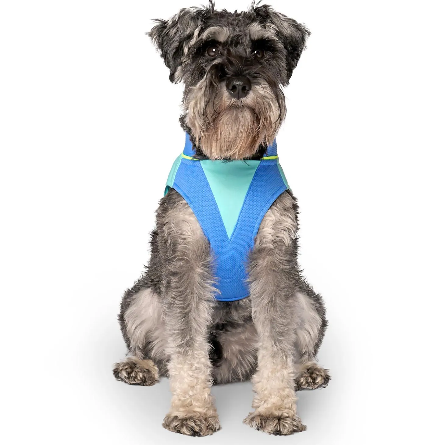 Max Chill Blue Cooling Vest