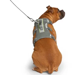 Max Chill Grey Cooling Harness