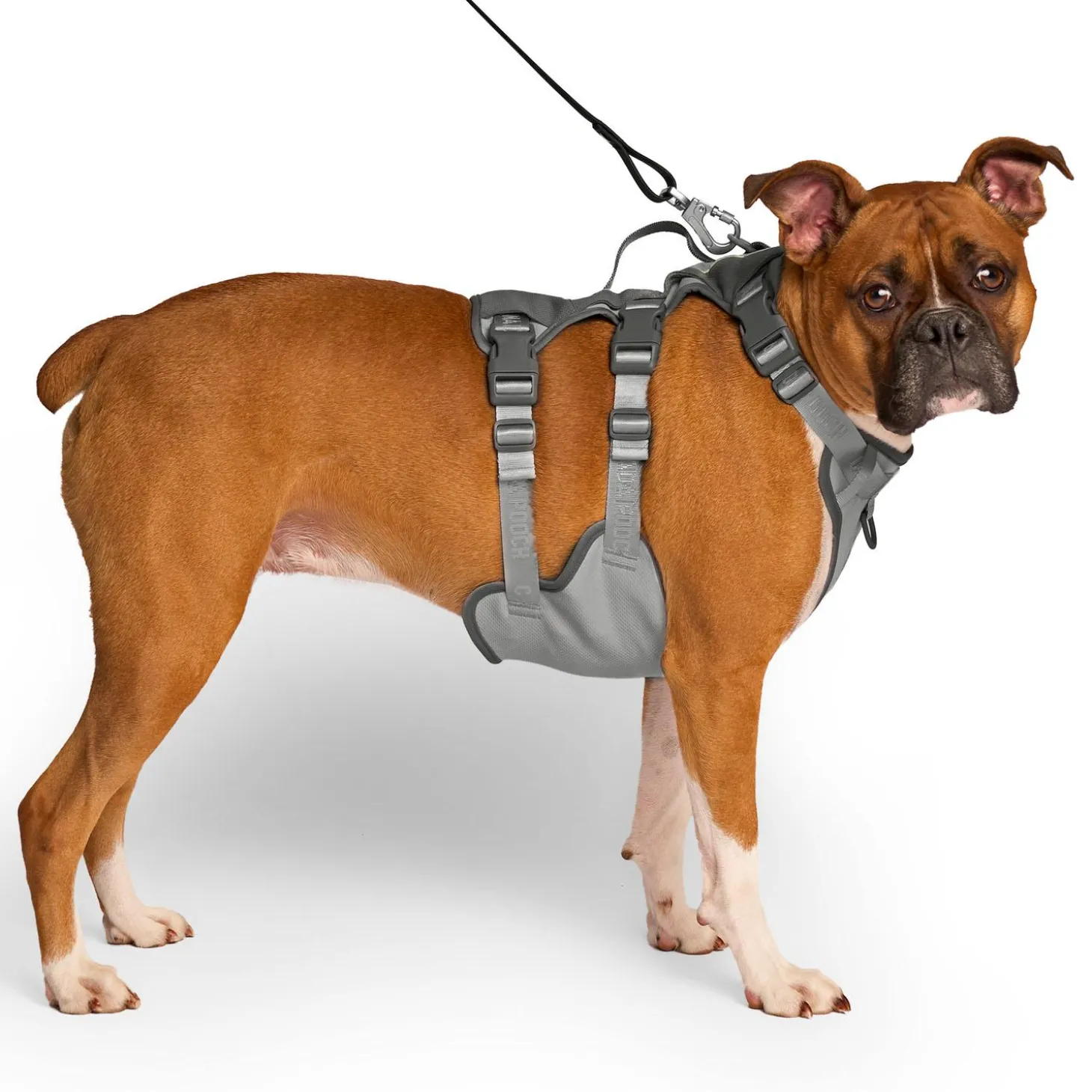 Max Chill Grey Cooling Harness