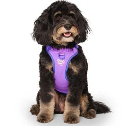 Max Chill Purple Cooling Harness