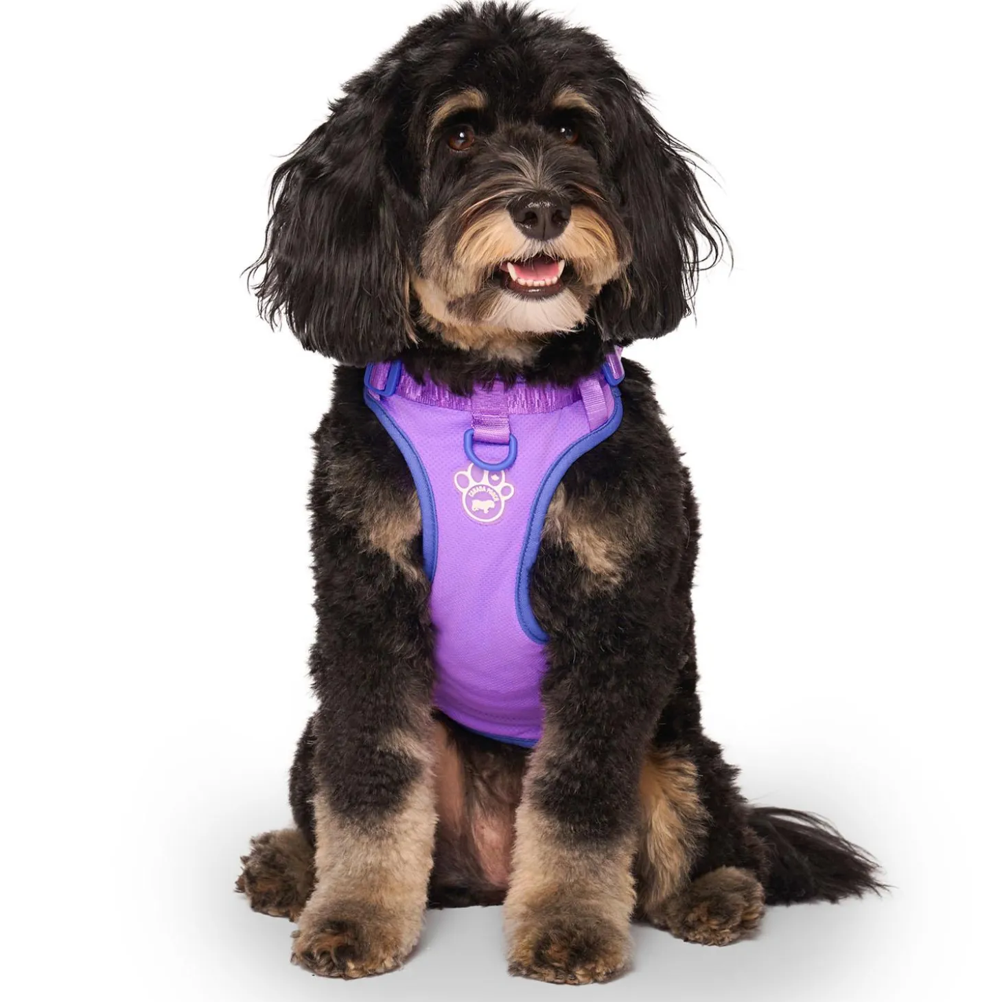 Max Chill Purple Cooling Harness