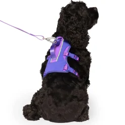 Max Chill Purple Cooling Harness