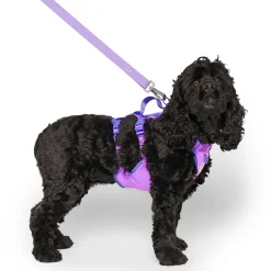 Max Chill Purple Cooling Harness