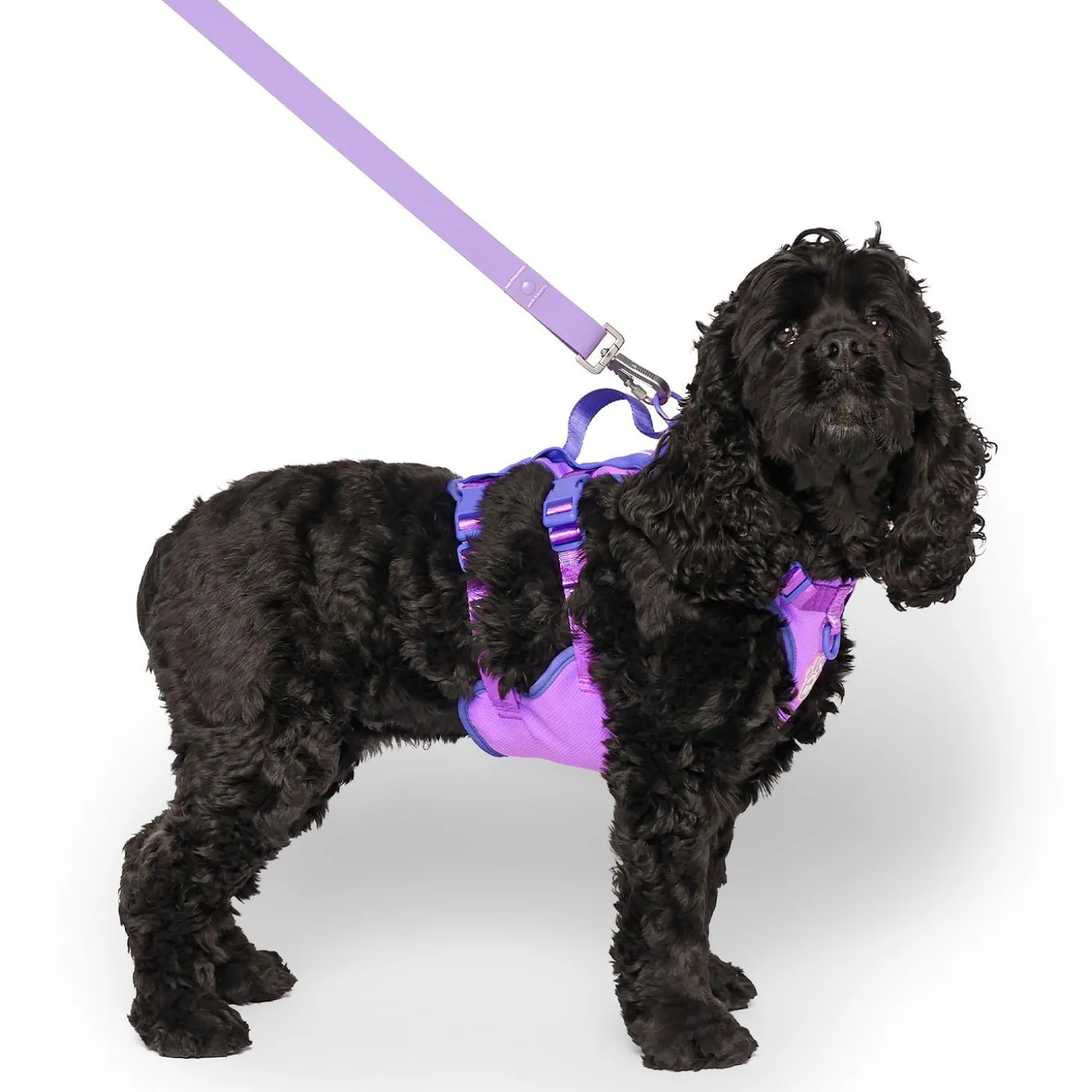 Max Chill Purple Cooling Harness