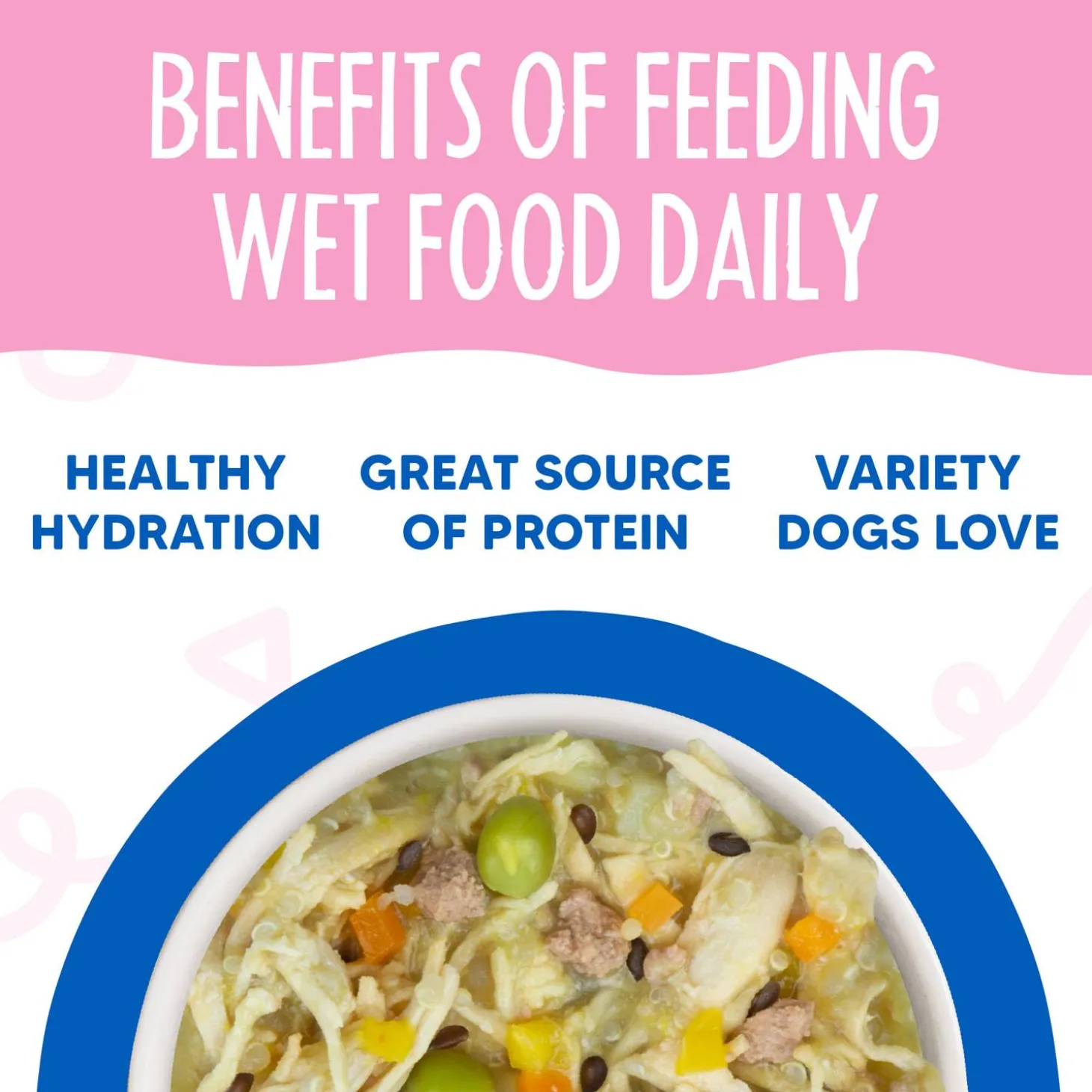 Meals 'n More Grandma's Chicken Soup Recipe Plus Dog Food