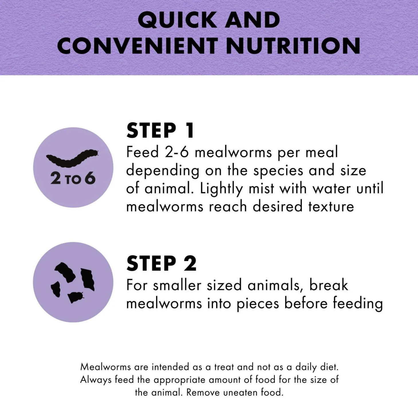 Mealworms Reptile Munchies Reptile Food
