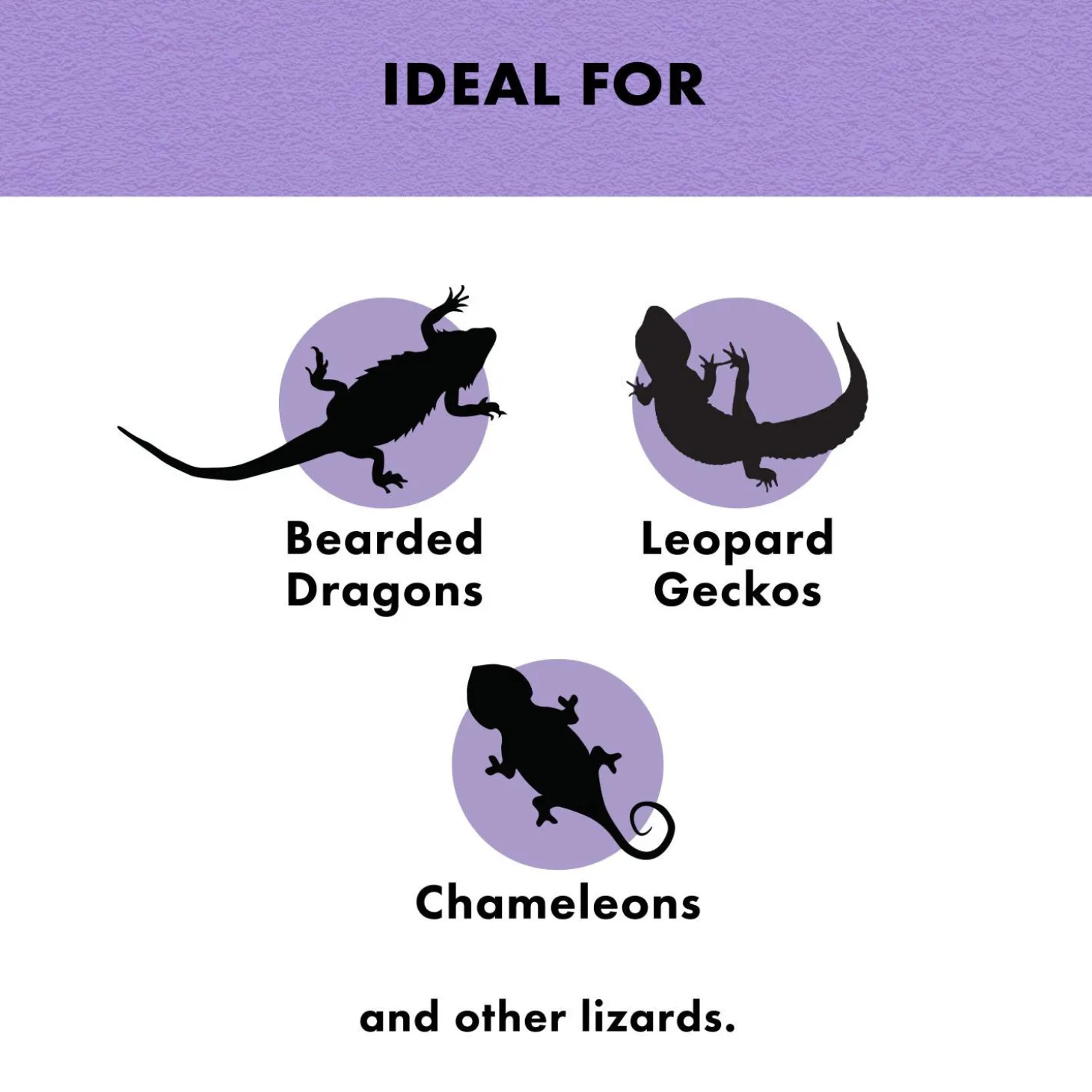 Mealworms Reptile Munchies Reptile Food