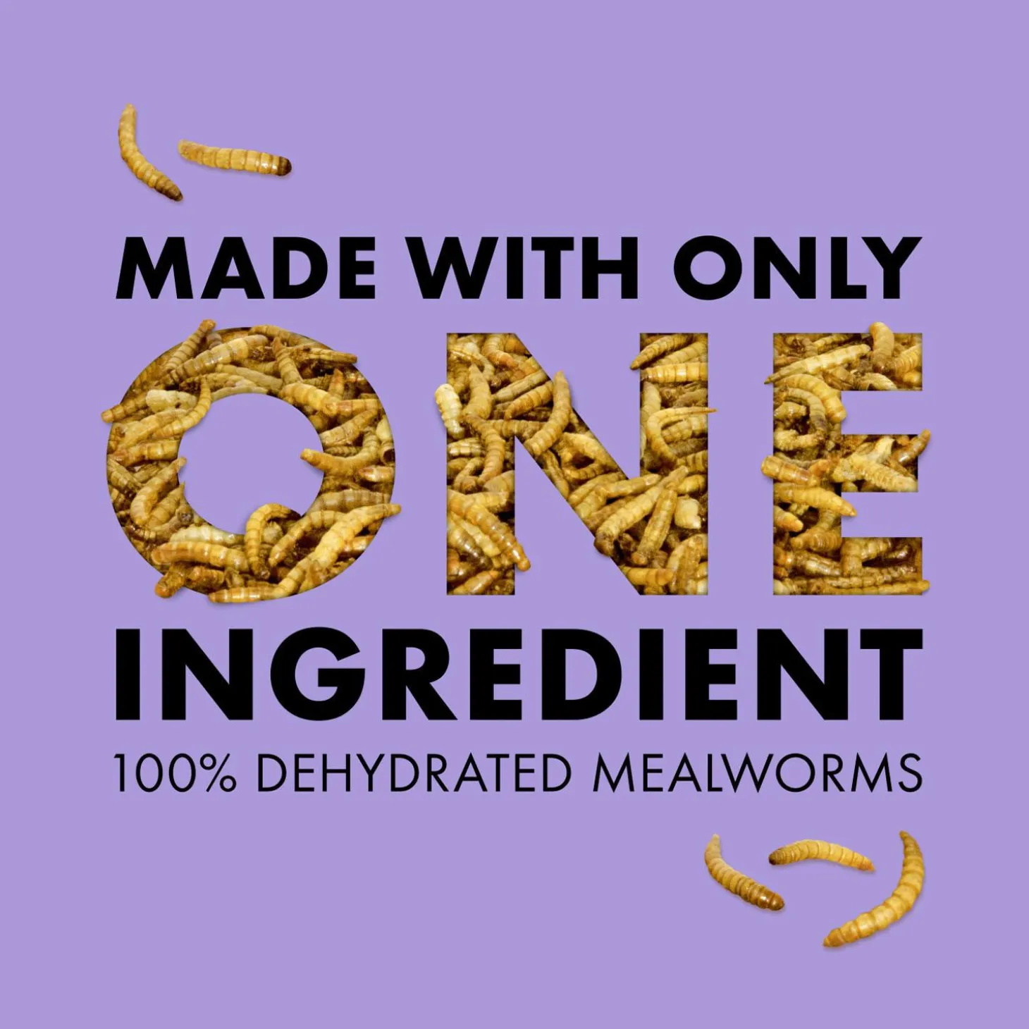 Mealworms Reptile Munchies Reptile Food