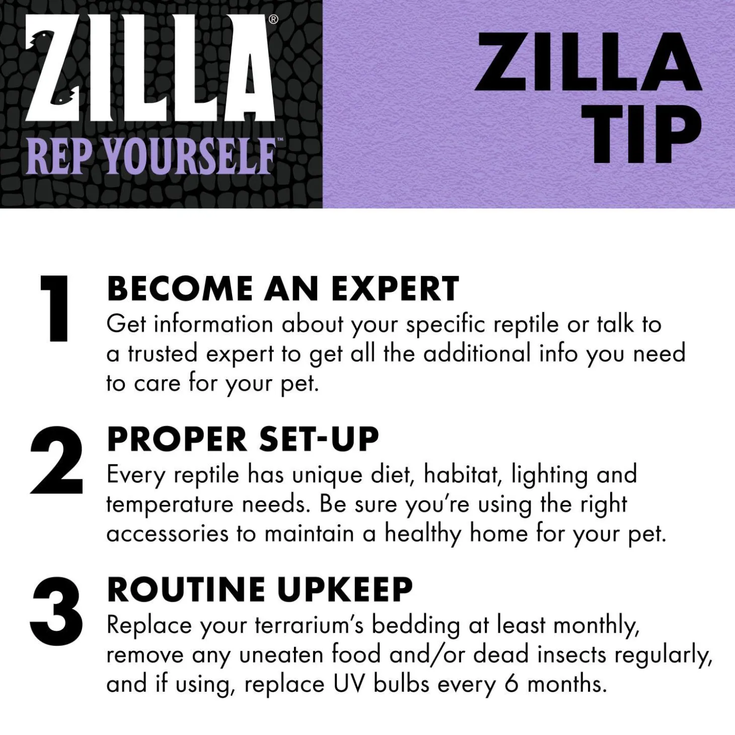 Mealworms Reptile Munchies Reptile Food