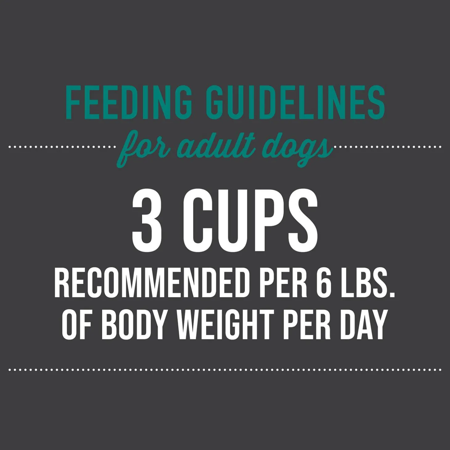 Meaty Chicken with Duck Recipe in Broth Dog Food