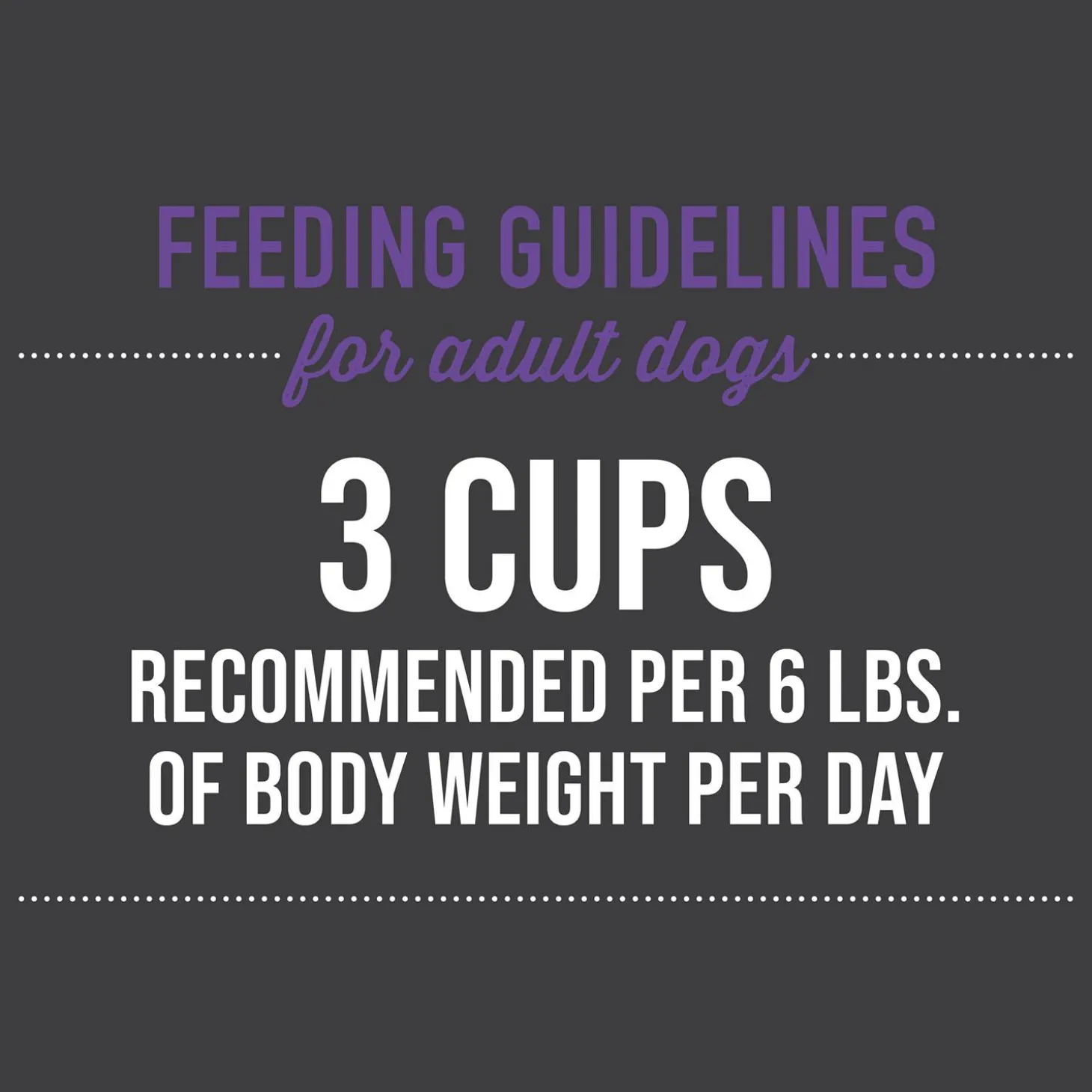 Meaty Chicken with Egg Recipe in Broth Dog Food