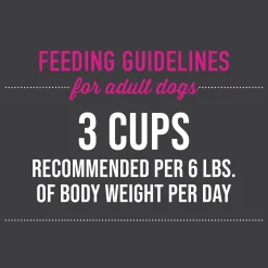 Meaty Chicken with Salmon Recipe in Broth Dog Food