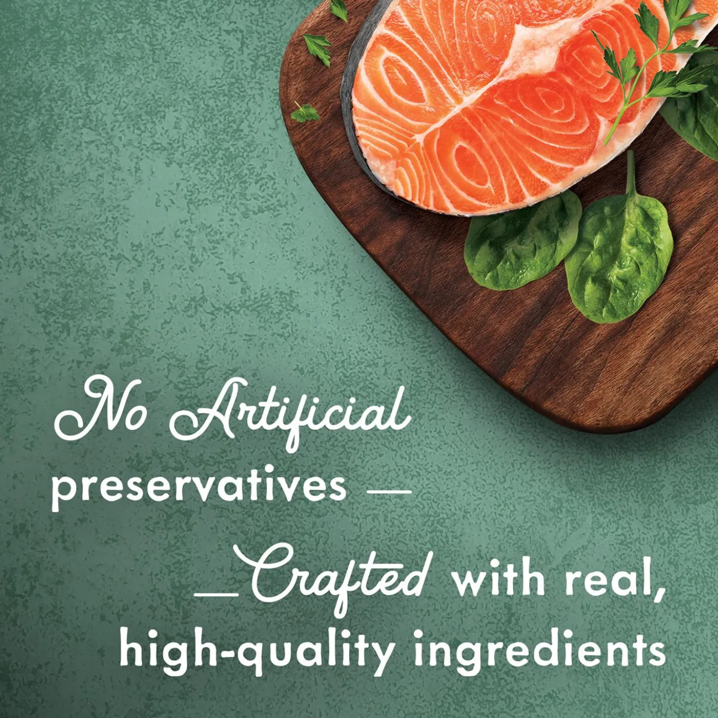 Medleys Wild Salmon Florentine Adult Cat Food