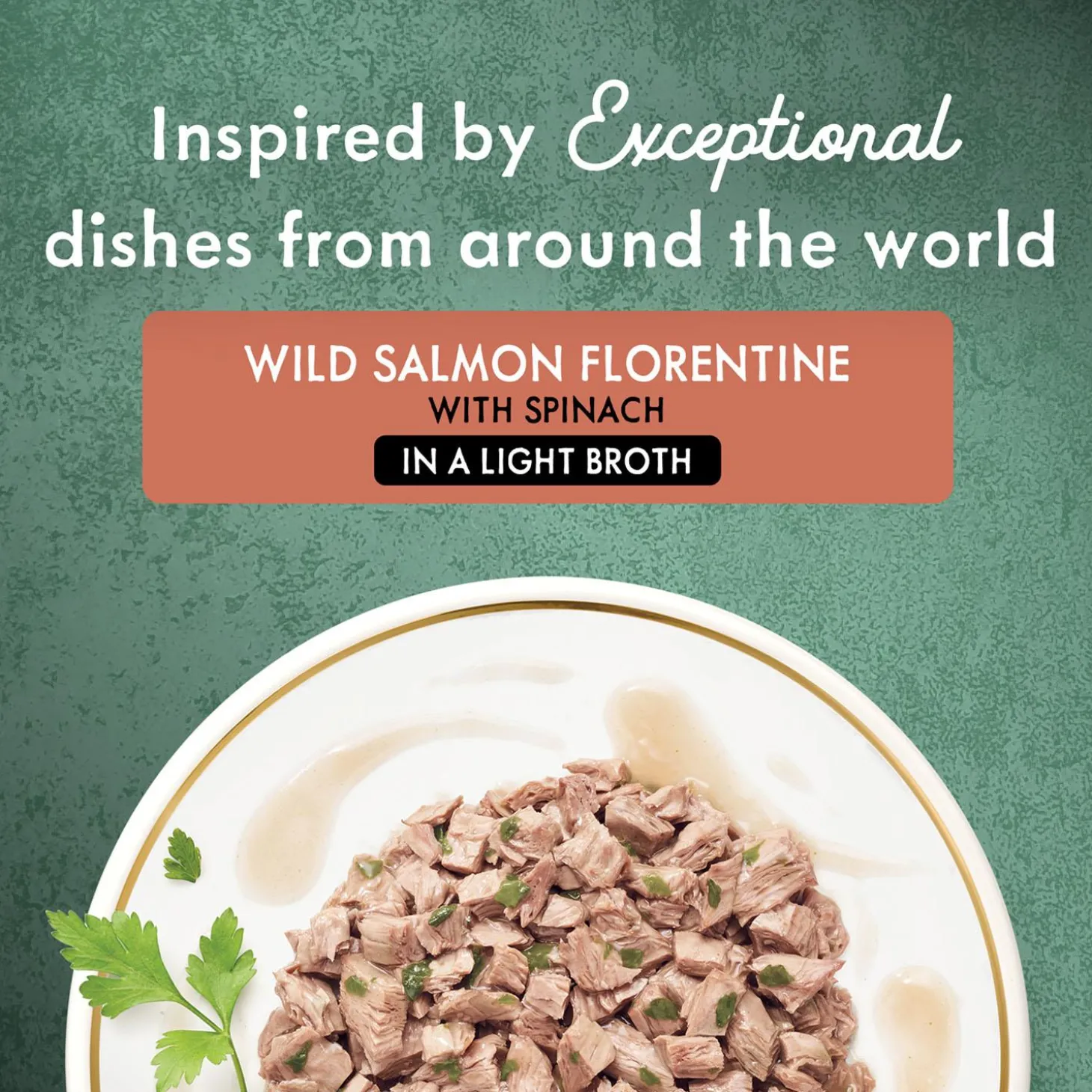 Medleys Wild Salmon Florentine Adult Cat Food
