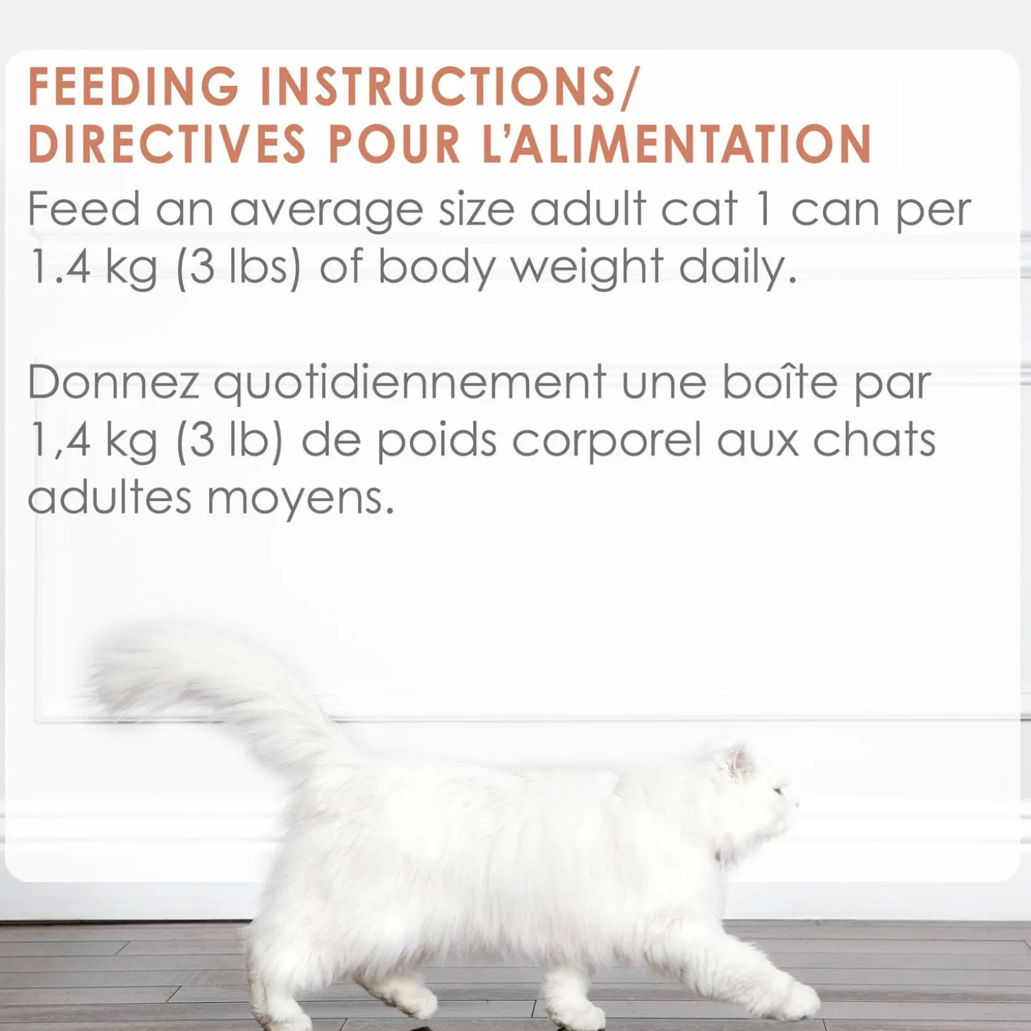 Medleys Wild Salmon Florentine Adult Cat Food