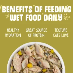 Meow Luau with Mackerel & Pumpkin Adult Cat Food