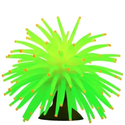 Mini Anemones Yellow and Green