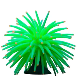 Mini Anemones Yellow and Green