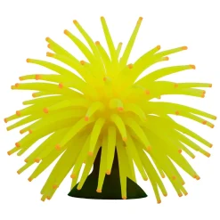 Mini Anemones Yellow and Green