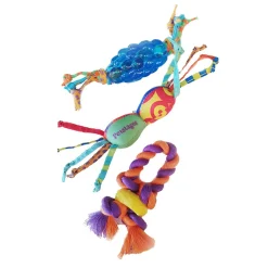 Mini Chew Starter Kit Dog Toy