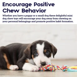 Mini Dental Chews Dog Toys