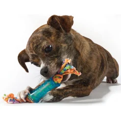 Mini Dental Chews Dog Toys