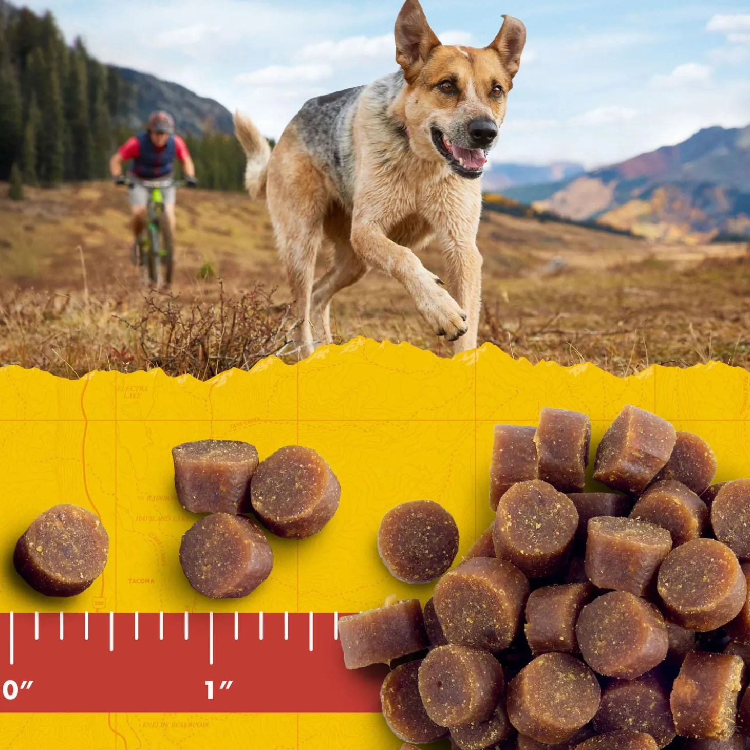 Mini Naturals Chicken Dog Treats