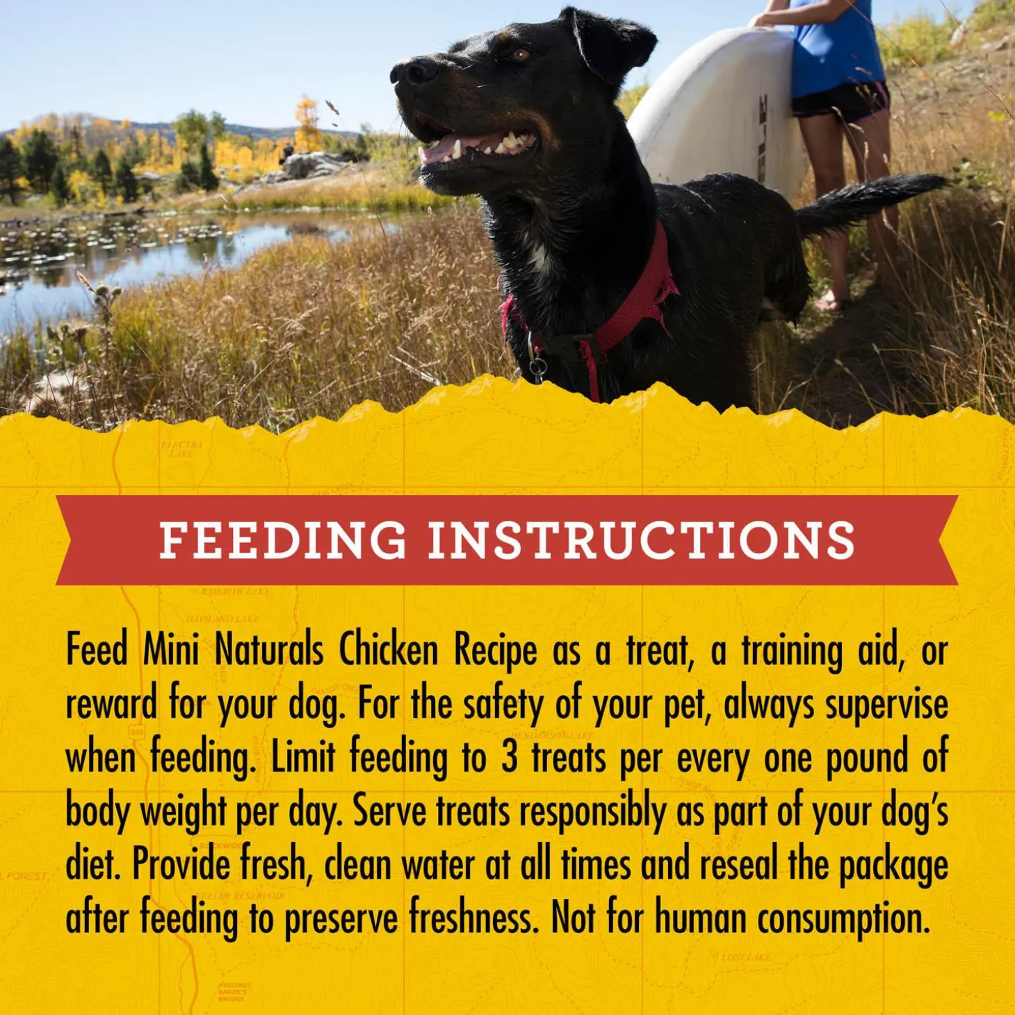 Mini Naturals Chicken Dog Treats