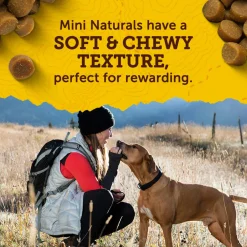 Mini Naturals Chicken Recipe Dog Treats