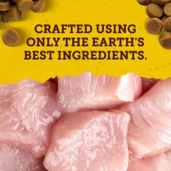 Mini Naturals Chicken Recipe Dog Treats