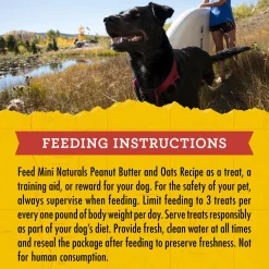 Mini Naturals Peanut Butter & Oats Recipe Dog Treats