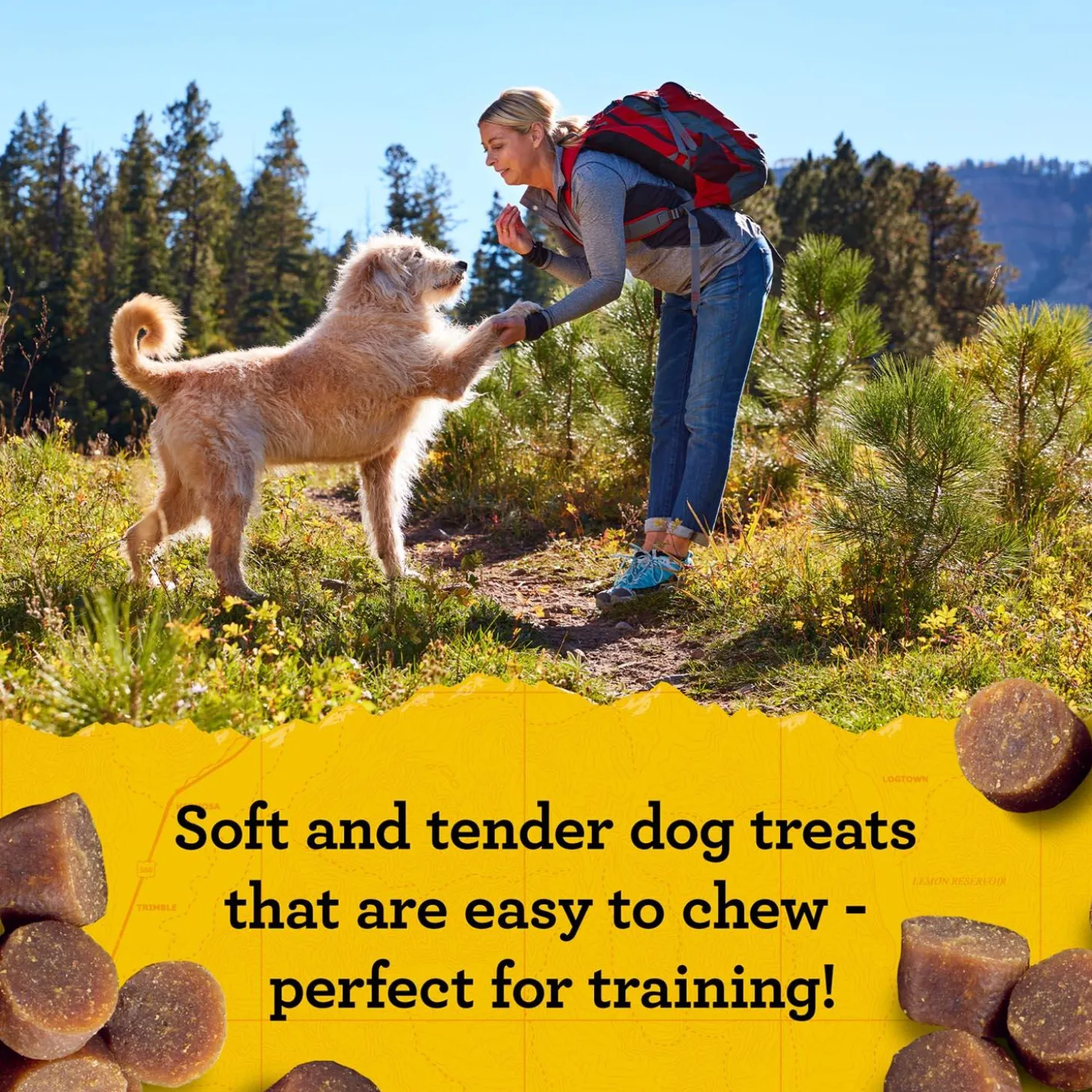 Mini Naturals Salmon Dog Treats