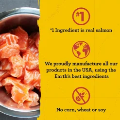 Mini Naturals Salmon Dog Treats