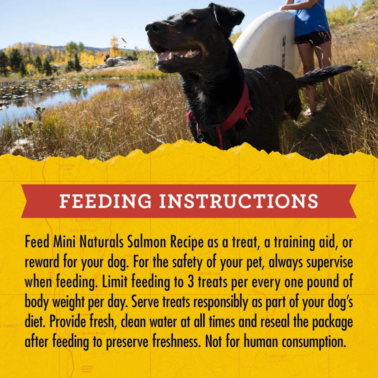 Mini Naturals Salmon Dog Treats