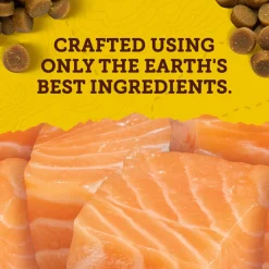 Mini Naturals Salmon Recipe Dog Treats