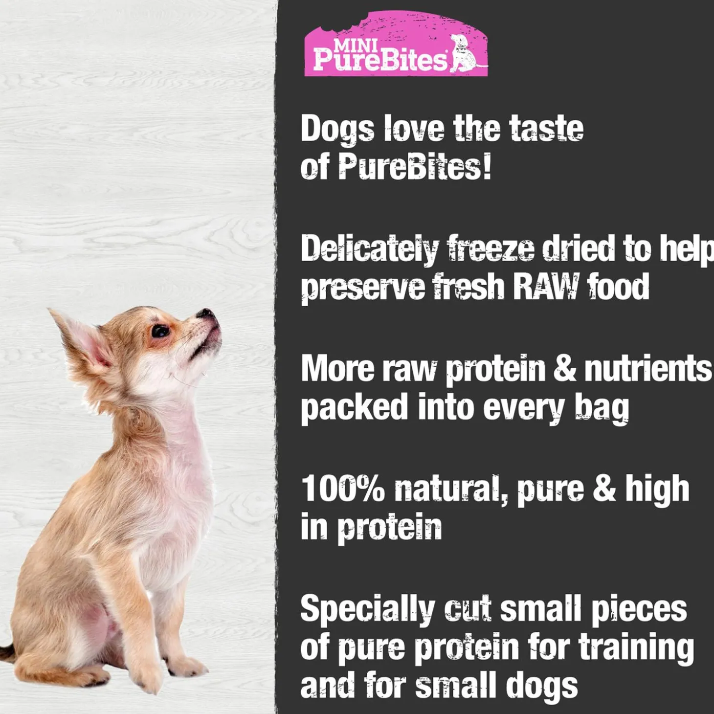 Mini Trainers Wild-Caught Salmon Dog Treats