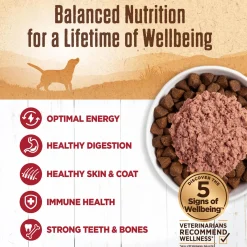 Mixer or Topper 95% Beef Pate Dog Food