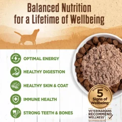 Mixer or Topper 95% Lamb Pate Dog Food